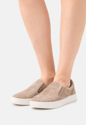 Anna Field Bekvämlighet Läder Slip Ons Låga Skor Dam Grå Bruna | EVK-947065