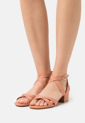 Anna Field Bekvämlighet Sandals Sandaler Dam Korall | HSG-691830