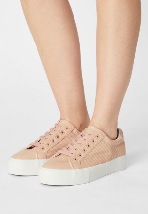 Anna Field Bekvämlighet Trainers Sneakers Dam Ljusrosa | CSB-974053