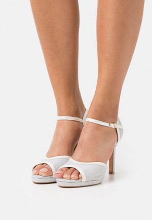 Anna Field High Klackar Sandals Sandaler Dam Silver | OSD-176984