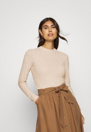 Anna Field Jumper Pullover Dam Bruna | TBD-048613