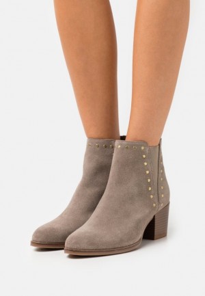 Anna Field Läder Ankle Boots Stövletter Dam Grå Bruna | ABO-945862