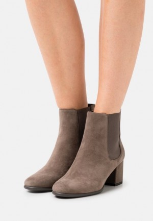 Anna Field Läder Klassiska Ankle Boots Stövletter Dam Grå Bruna | OJU-618253