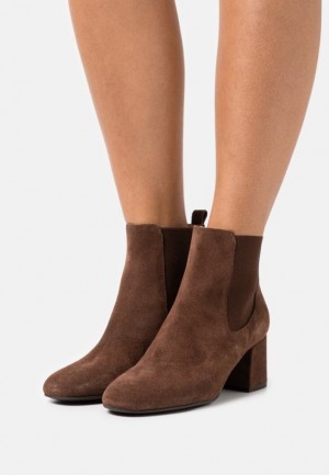 Anna Field Läder Klassiska Ankle Boots Stövletter Dam Bruna | KAN-938651