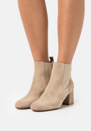Anna Field Läder Klassiska Ankle Boots Stövletter Dam Beige | DHT-602139