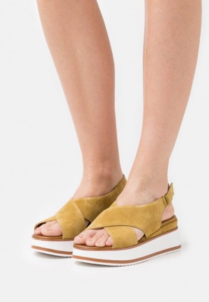 Anna Field Läder Platform Sandals Sandaler Dam Bruna | JYW-031627