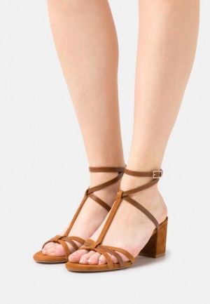 Anna Field Läder Sandals Sandaler Dam Bruna | JKC-680732