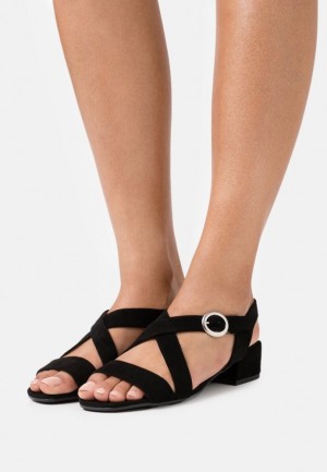 Anna Field Läder Sandals Sandaler Dam Svarta | FGE-137628