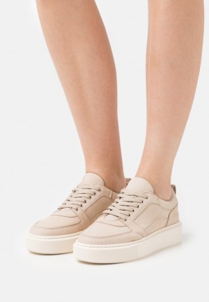 Anna Field Läder Trainers Sneakers Dam Grå Bruna | CLJ-092863