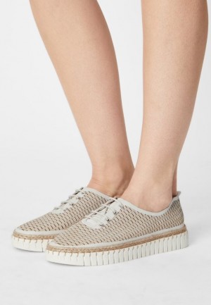 Anna Field Läder Vanliga Spets Ups Låga Skor Dam Beige | RLA-341860
