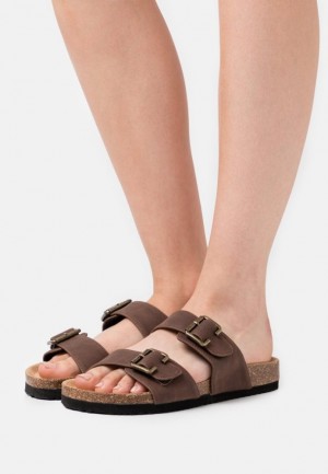 Anna Field Slippers Tofflor Dam Mörkbruna | DUJ-492501