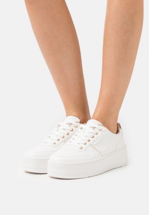 Anna Field Trainers Sneakers Dam Vita | WVF-698314