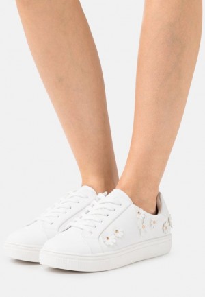 Anna Field Trainers Sneakers Dam Vita | ZYS-902517
