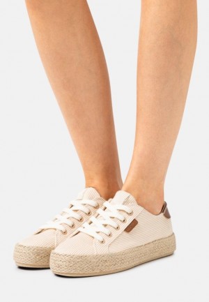 Anna Field Vanliga Spets Ups Låga Skor Dam Beige | FTD-629053