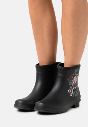 Anna Field Wellies Stövletter Dam Svarta | LIR-452801